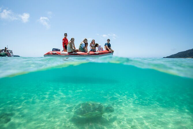 Whitehaven Beach and Hill Inlet Lookout Snorkeling Cruise - Who Will Love This Tour?