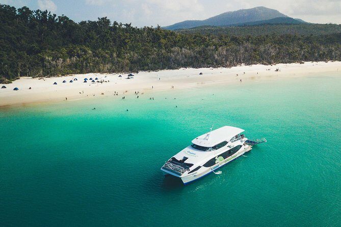 Whitehaven Beach Morning or Afternoon Tour - Final Thoughts: Is This Tour Right for You?