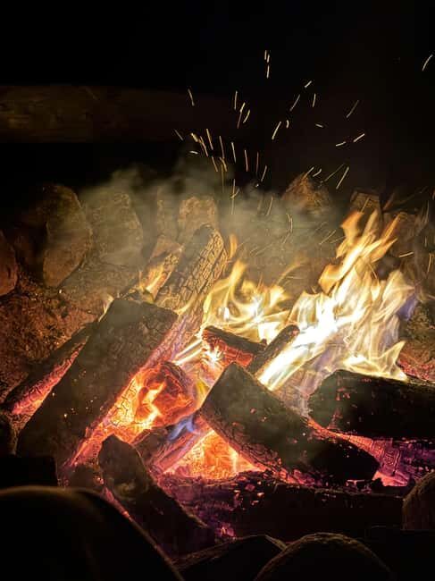 Whitehorse: Aurora Viewing with Wild Adventure Yukon - Analyzing the Value