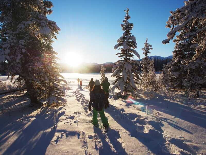 Whitehorse: Half-Day Snowshoeing Tour - Wildlife and Nature Insights