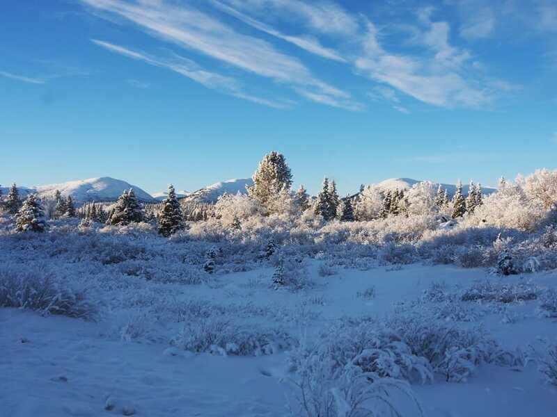 Whitehorse: Half-Day Snowshoeing Tour - Final Thoughts
