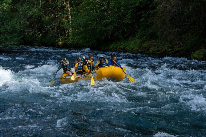 Whitewater Rafting on The McKenzie River - What Makes This Rafting Tour Stand Out