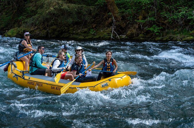 Whitewater Rafting on The McKenzie River - Price and Value
