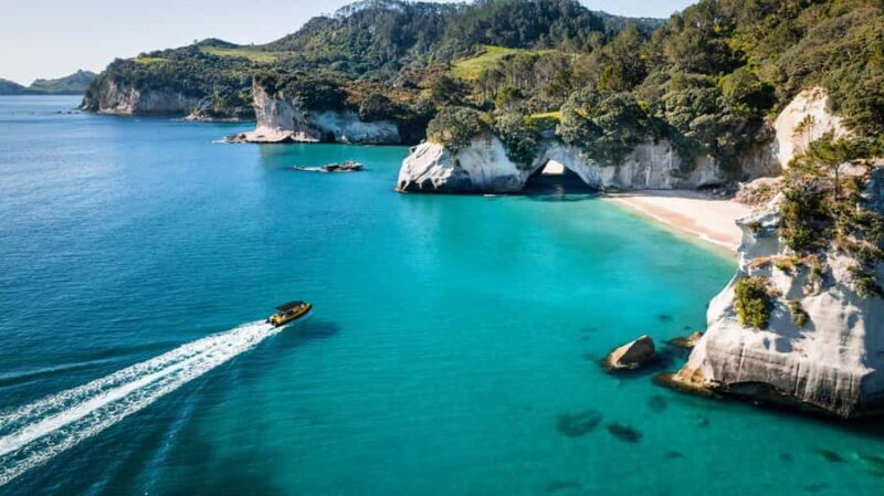 Whitianga: 2-Hour Cathedral Cove and Volcanic Coast Cruise - Final Thoughts