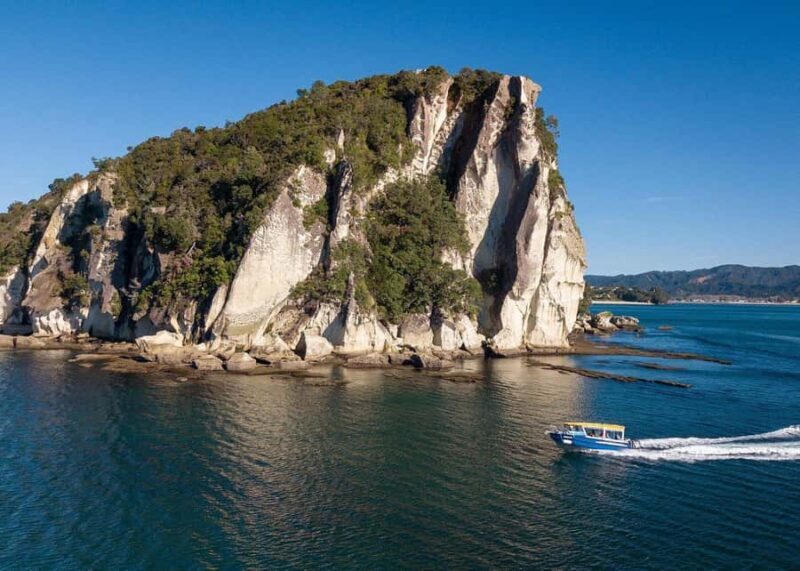 Whitianga: 2-Hour Glass Bottom Boat Cathedral Cove Tour - What Makes This Tour Stand Out