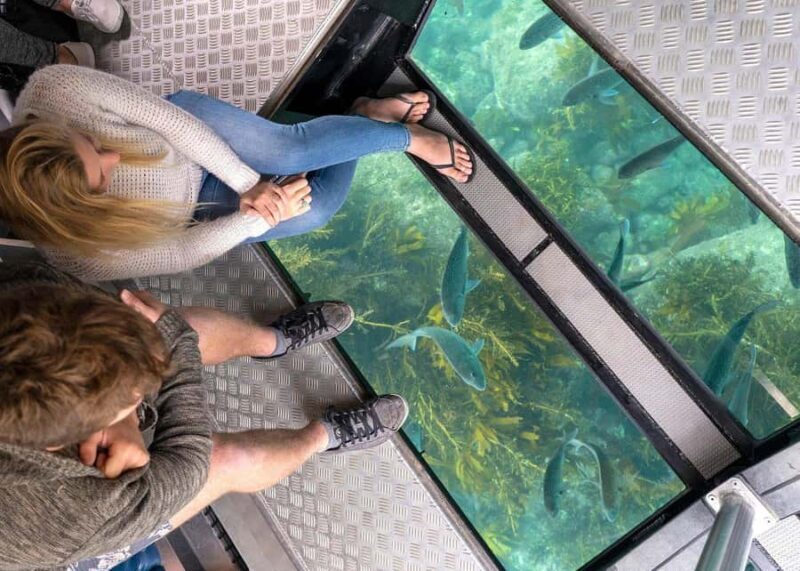 Whitianga: 2-Hour Glass Bottom Boat Cathedral Cove Tour - Practical Tips for Your Trip