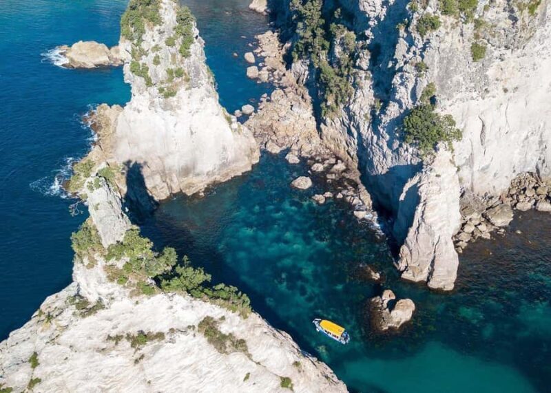 Whitianga: 2-Hour Glass Bottom Boat Cathedral Cove Tour - The Value of the Experience