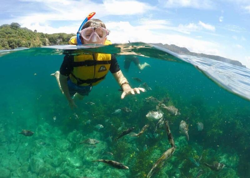 Whitianga: 2-Hour Glass Bottom Boat Cathedral Cove Tour - Who Is This Tour Best Suited For?