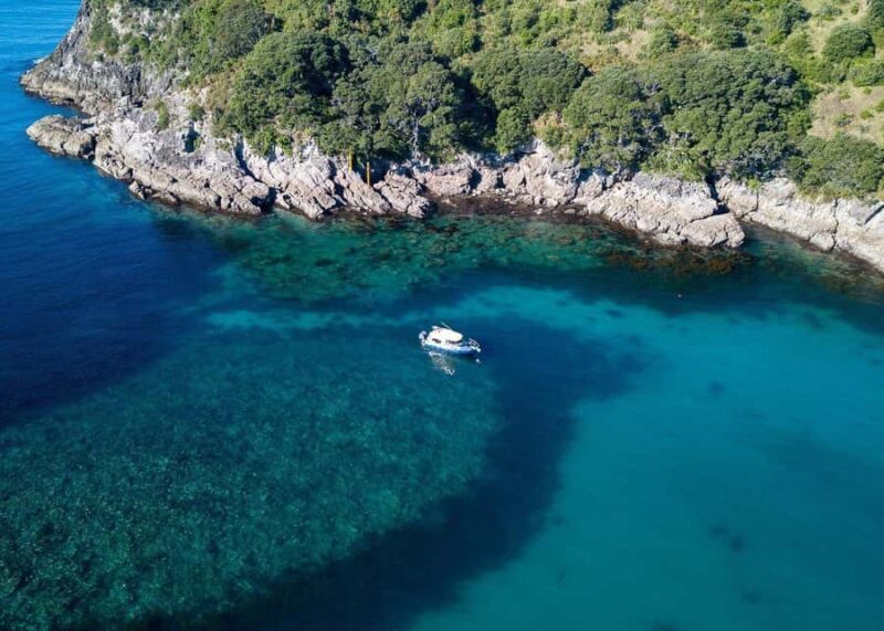 Whitianga: 2-Hour Glass Bottom Boat Cathedral Cove Tour - FAQ About the Whitianga Glass Bottom Boat Tour