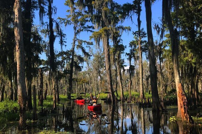 Whitney Plantation and Manchac Swamp Kayak Tour Combo - Who Is This Tour Best For?