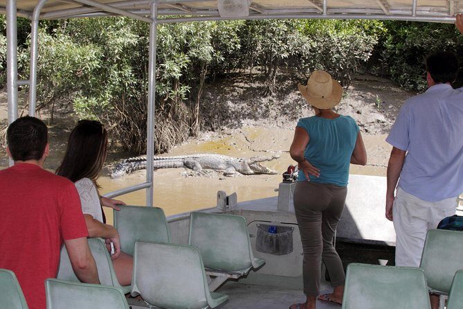 Whitsunday Crocodile Safari - Final Thoughts: Is It Worth It?