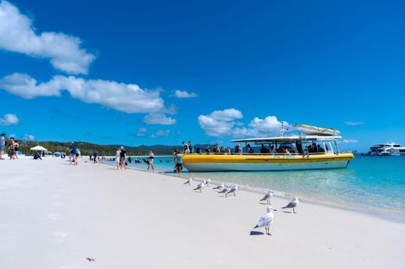 Whitsunday: Whitsunday Islands Tour with Snorkeling & Lunch - Frequently Asked Questions