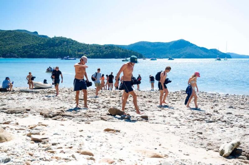 Whitsundays: 2 days 1 night Sailing, Snorkeling, Whitehaven - Downsides and Considerations