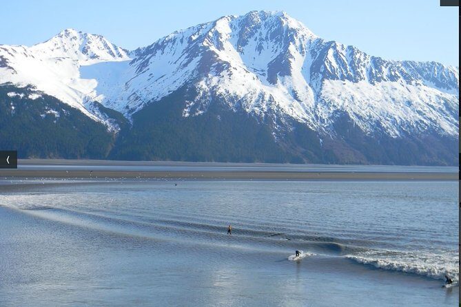 Whittier to Anchorage Cruise Transfer and Private Tour - FAQ