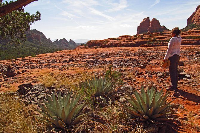 Whole-Day Sedona Vortex Experience - Who Should Consider This Tour?
