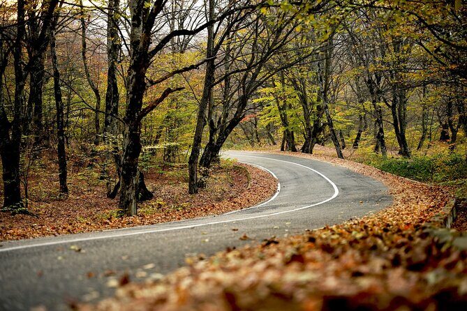 Whole day Wine Tour to Kakheti from Tbilisi - Who Should Consider This Tour?