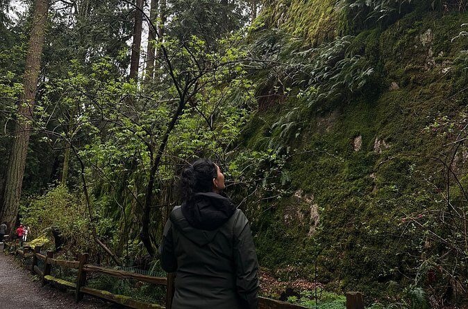 Whytecliff Park Indigenous Salish Sea Walking Tour - Who Will Appreciate This Tour?