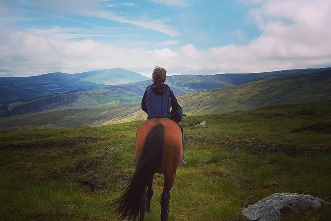Wicklow Mountains Horse Trekking - Considerations Before Booking