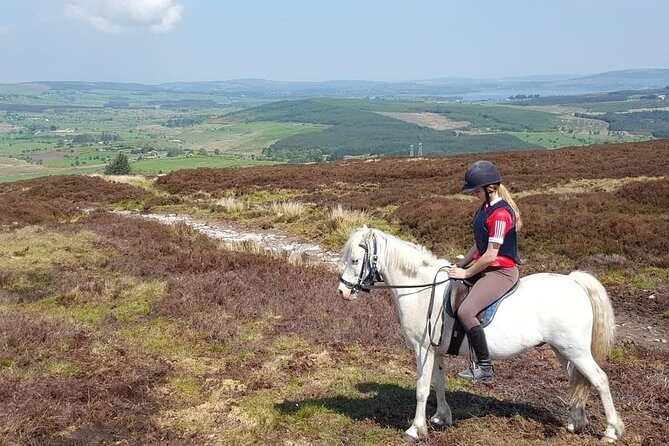 Wicklow Mountains Horse Trekking - Who Will Love This Tour?