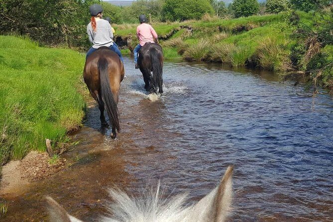 Wicklow Mountains Horse Trekking - Concluding Thoughts