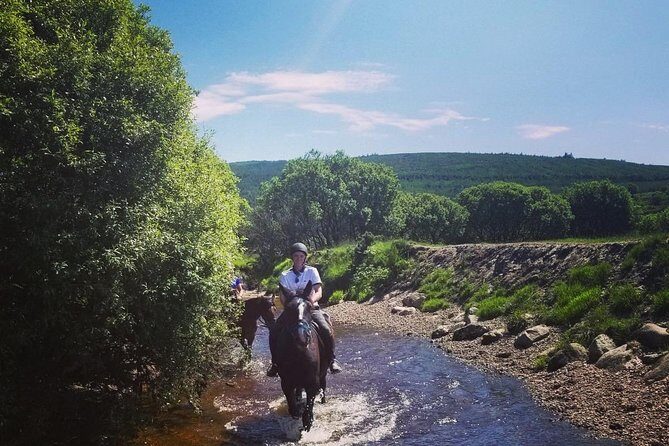 Wicklow Mountains Horse Trekking - FAQ