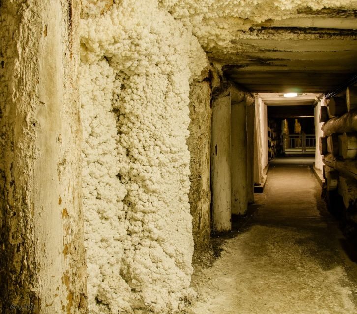 Wieliczka: Salt Mine Skip-the-Line Live Guided Tour - Final Thoughts