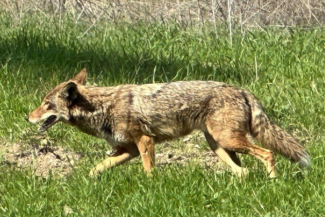 Wild backside of Griffith Park and LA River by luxury e-bike - The nitty-gritty of the experience