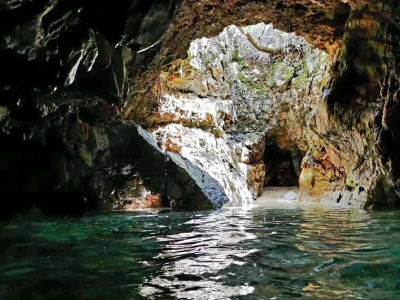 Wild Bays and Plavnik Island: A whole day private boat tour - Key Points