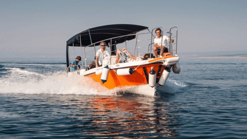 Wild Bays and Plavnik Island: A whole day private boat tour - Who Is This Tour Best For?