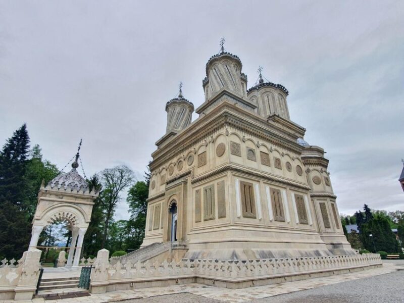 Wild Bears and Dracula Private Day Tour - Key Points