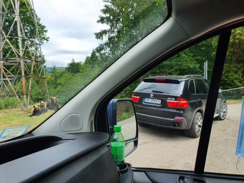 Wild Bears and Dracula Private Day Tour - Practical Details and Value