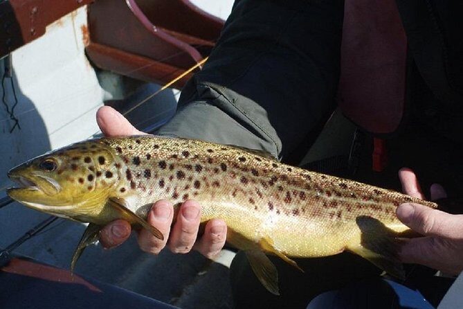 Wild Brown Trout fishing. Lough Corrib. French speaking Ghillie/Guide. Full day. - FAQs