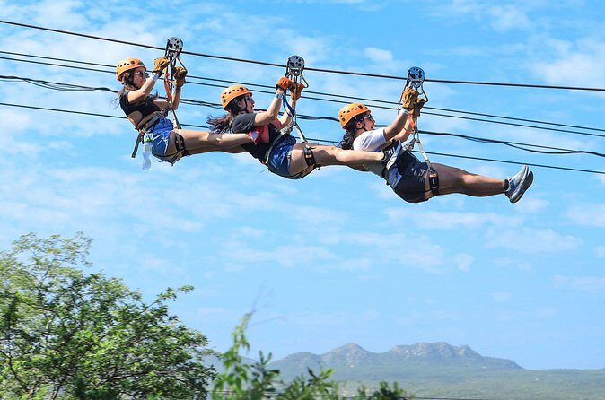 Wild Canyon Park Pass - Is the Price Worth It?