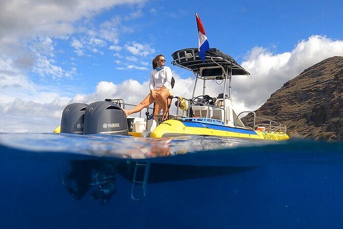 Wild Dolphin Watching and Snorkel Safari Off West Coast of Oahu - Key Points