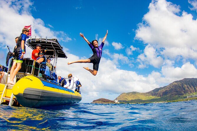 Wild Dolphin Watching and Snorkel Safari Off West Coast of Oahu - The Experience in Detail