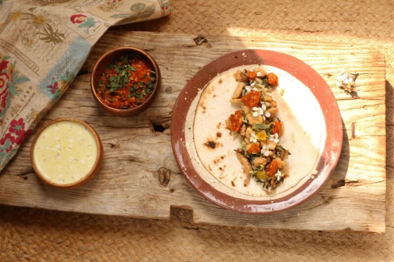 Wild experience: discover, cook & eat the local wild flora - Key Points