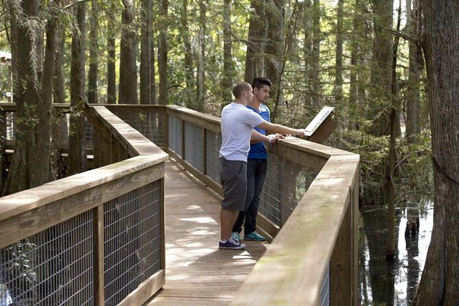 Wild Florida Adventure Package Tour with Transportation - A Closer Look at the Experience