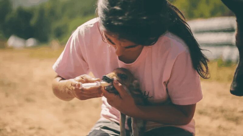 Wild Forest Reserve Foundation - Visit - Exploring Wild Forest Reserve Foundation: What You Can Expect