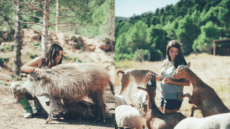 Wild Forest Reserve Foundation - Visit - Who Should Consider This Tour?