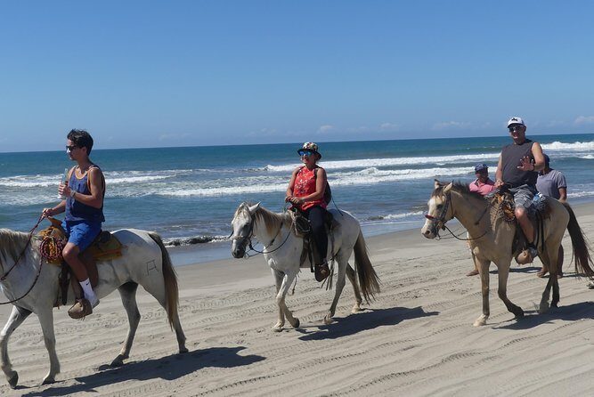 Wild & Free: Lagoon Boat, Beach Horseback, Crocs & Turtle Release - Who Is This Tour Best For?