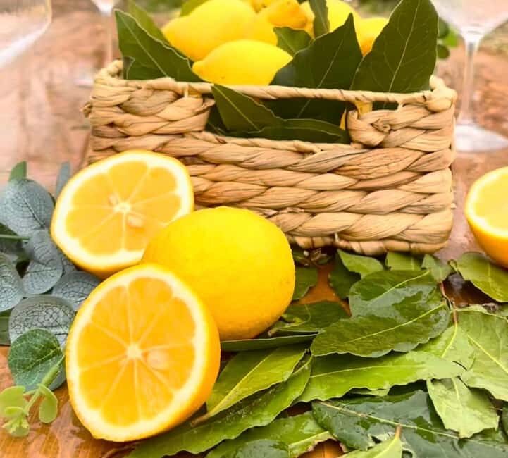 Wild Fruit Picking Experience at Hani i Qerosit - An Honest Look at the Experience