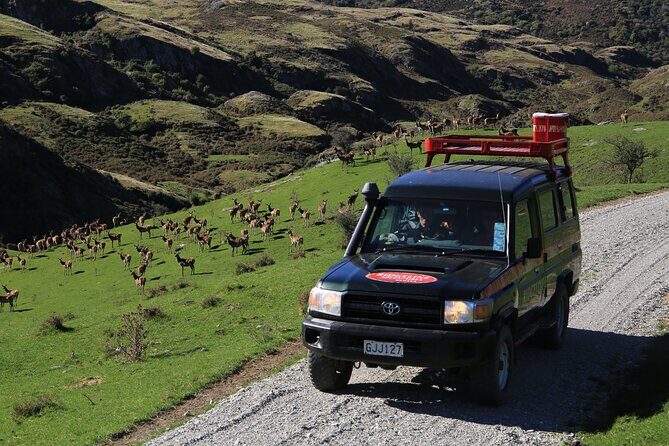 Wild Hills Off Road Safari - Final Thoughts: Is It for You?