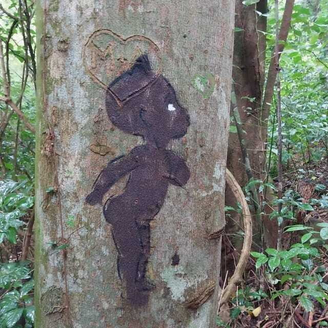 Wild Immersion : Hiking in the Heart of the Tropical Forest - The Experience Through the Eyes of Other Travelers