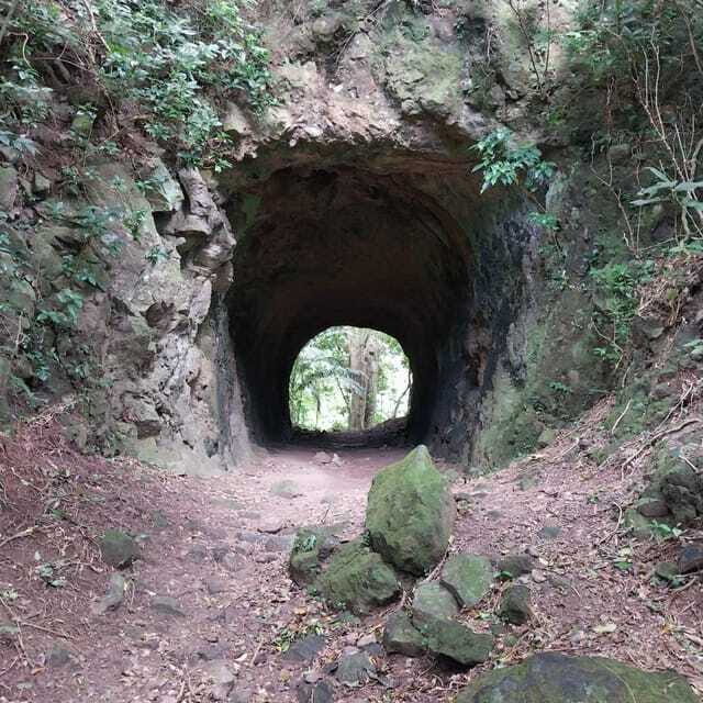 Wild Immersion : Hiking in the Heart of the Tropical Forest - Who Would Love This Tour?