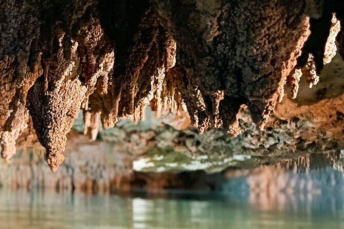 Wild Jungle ATV Adventure with Cenote and Monkey Sanctuary - How Good Is the Value?