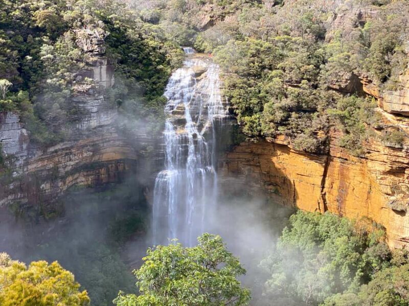 Wild Kangaroos & Blue Mountains private tour - Exploring the Full Experience