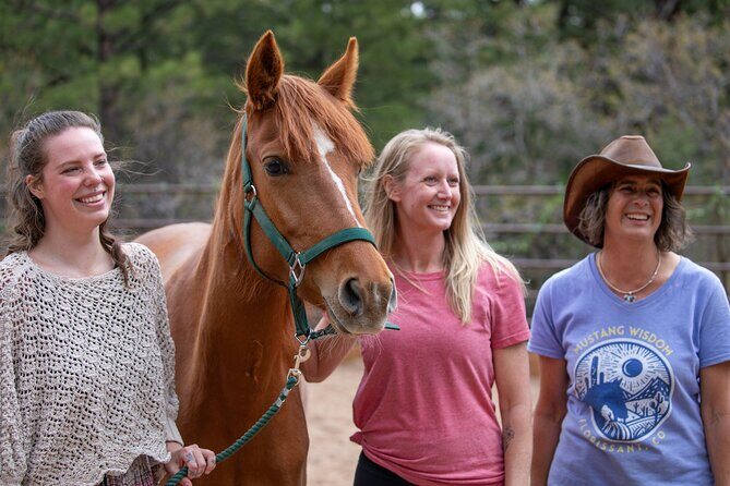 Wild Mustang Experience Near Colorado Springs - The Experience Providers and Booking