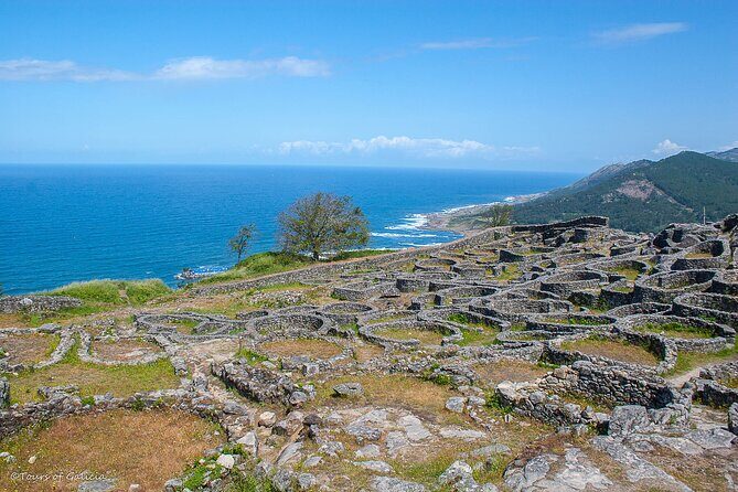 Wild Southern Atlantic Coast Private Tour from Vigo - Final Thoughts: Who Is This Tour Best For?