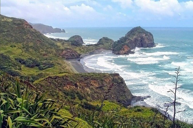 Wild West Coast & Rainforest Escape - Private Experience - Final Thoughts