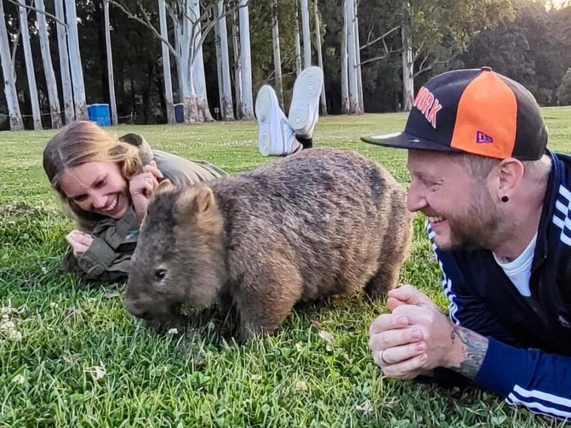WILD Wombats and Kangaroo Experience, All Inclusive, Sydney - An Honest Look at the Experience